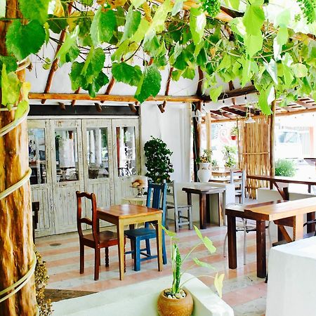 Posada Amor Hotel Boutique بويرتو موريلوس المظهر الخارجي الصورة